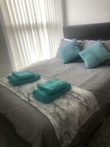 Luxury City Apartment