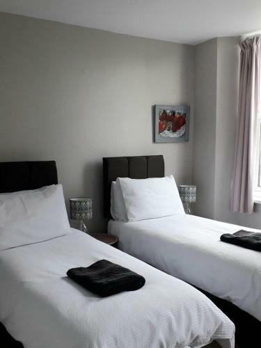 Hostal Sleepy Puffin Guest House