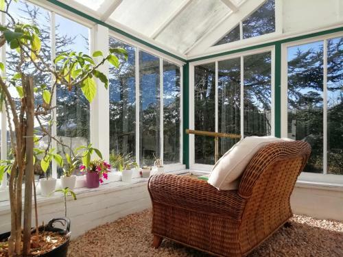 Bed & Breakfast Woodlands, Teignmouth
