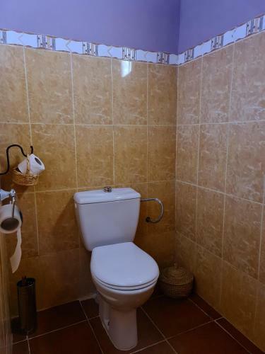 Bed & Breakfast Kasbah Ait Ben Damiette