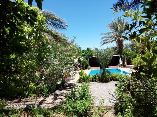 Bed & Breakfast Authentik Skoura Bassatines