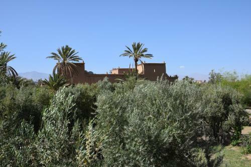 Hostal Kasbah 123 Soleil