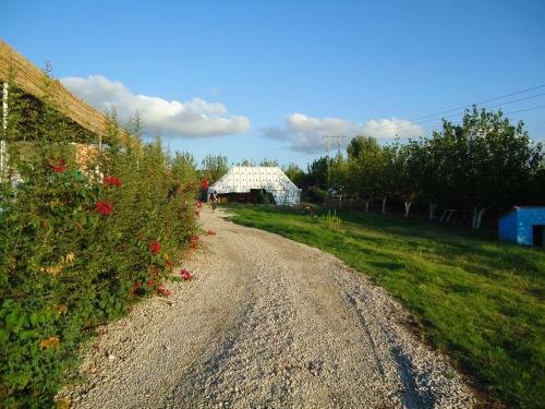 Posada Tahla Garden
