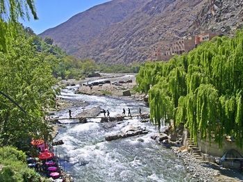 Bed & Breakfast Top Ourika