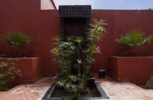 Bed & Breakfast Ksar Massa