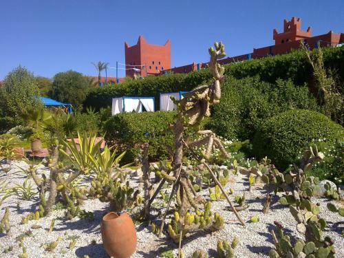 Bed & Breakfast Ksar Massa