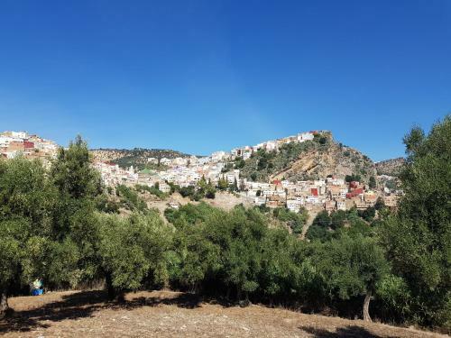 Bed & Breakfast Dar Zerhoune