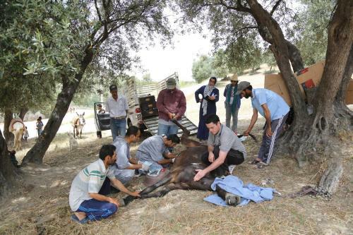 Bed & Breakfast Dar Zerhoune