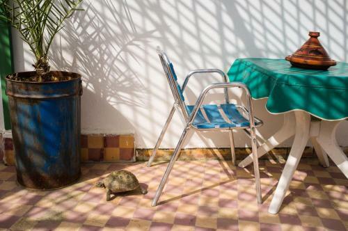 Hostal La Colombe Blanche