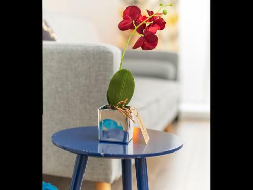 St Johns Road Apartments Perfect Location