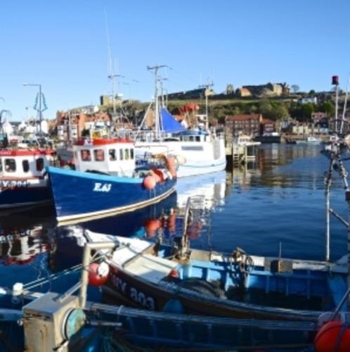 Lovely 2-bed Apartment In Whitby