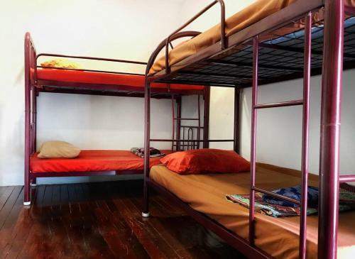 Bed & Breakfast Quiikcat