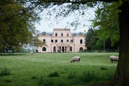 Bed & Breakfast Moggerhanger Park, Moggerhanger