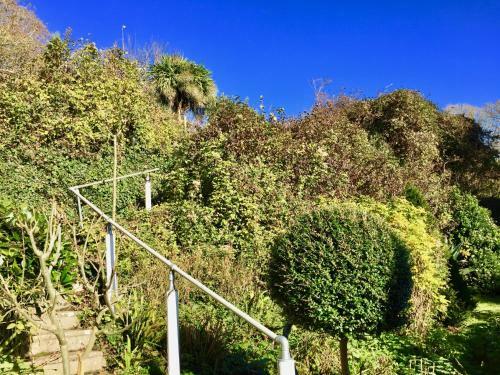 Old Park, Ventnor