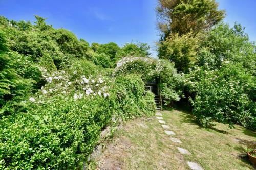 Old Park, Ventnor