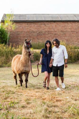 Agroturismo Glamping With Llamas