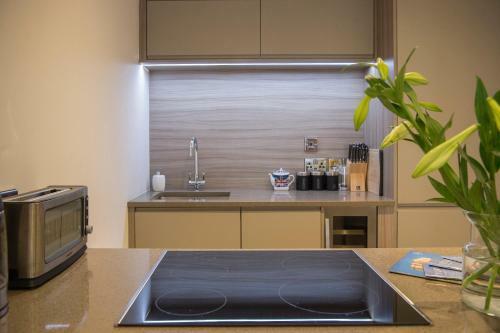 Apartamento Chocolets - The Lion Suite