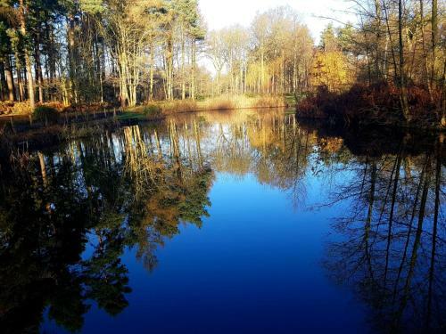 Lodge Hollicarrs - Forest Retreat
