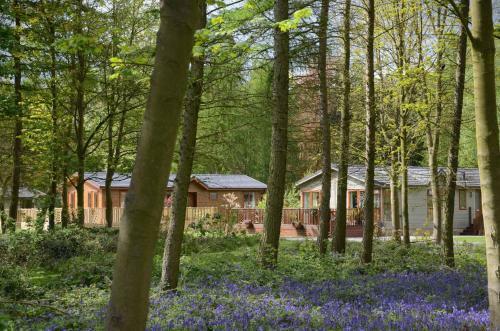 Lodge Hollicarrs - Forest Retreat