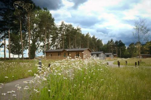 Lodge Hollicarrs - Forest Retreat