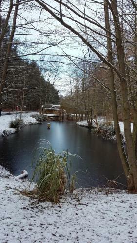 Lodge Hollicarrs - Forest Retreat