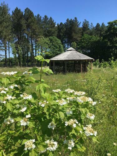 Hollicarrs - Woodland Lodge