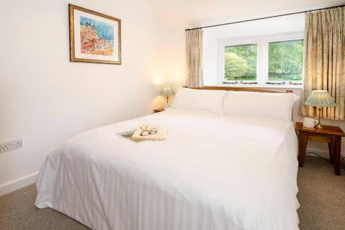 Pippins, Elterwater