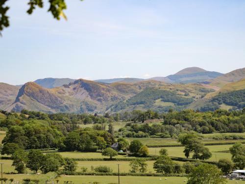Ty'n Y Coed