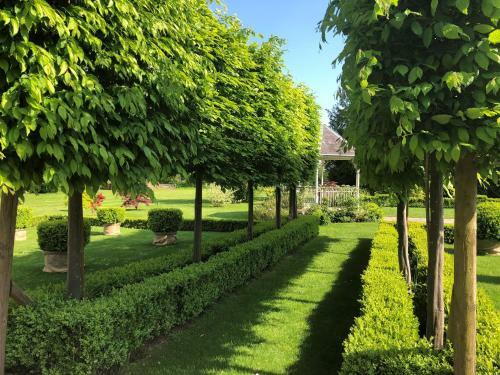 Hotel Lemore Estate