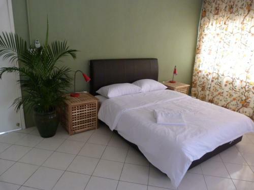 Hostal Orange Pekoe Guesthouse