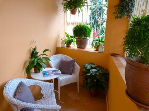 Hostal Orange Pekoe Guesthouse