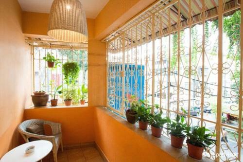 Hostal Orange Pekoe Guesthouse