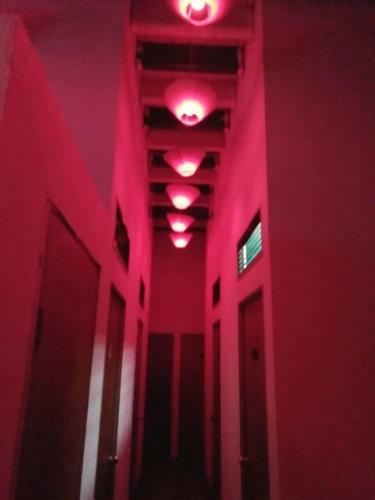 Cintamani Travellers Lodge