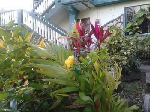 Bed & Breakfast Little Palace Bnb