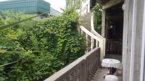 Hostal Eizy's Home (m.kostavas #15)