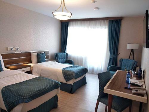 Campus Alba At Hotel Castello Mare