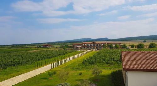 Hotel Chateau Mosmieri Resort