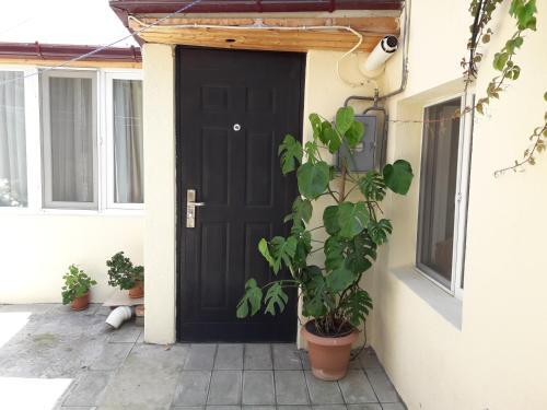 Apartamento ????????, ?????? ?????