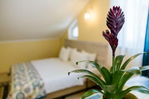 Hotel Gvino Minda