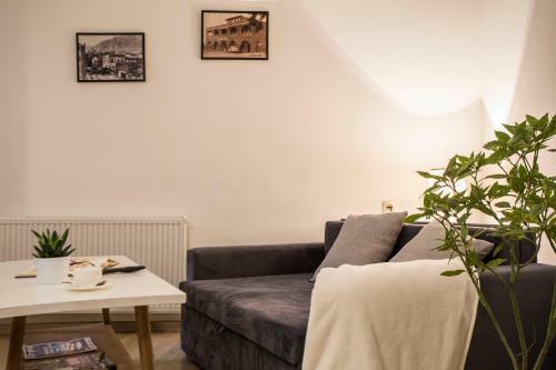 Proper Apartments Studio With Yard Near Freedom Square