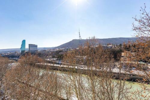 Wehost Apartment Close To Agmashenebeli