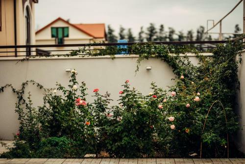 Hostal Veronika Home Tbilisi