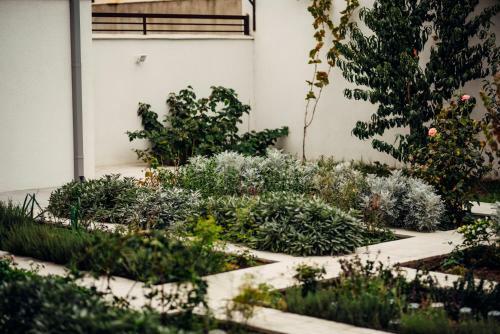 Hostal Veronika Home Tbilisi