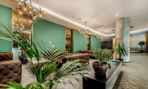 Luxury Apartment In King David Residence