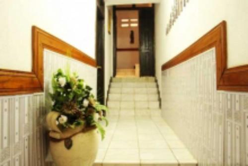 Hostal Room In Apartment - Hill View Hotel-mccathy Hills