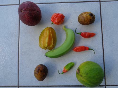 Apartamento Jardin Bananier