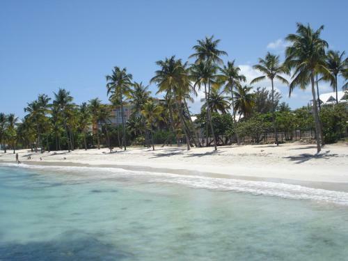 Apartamento Oceanis Orchidee067