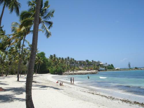 Apartamento Oceanis Orchidee067