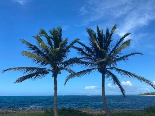Apartamento Villa Phare Cara�bes Guadeloupe