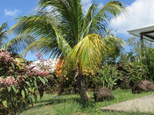 Villa Au Bout Du R�ve